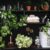 pothos-tropical-houseplants-leslie-santarina-2-2048x1365