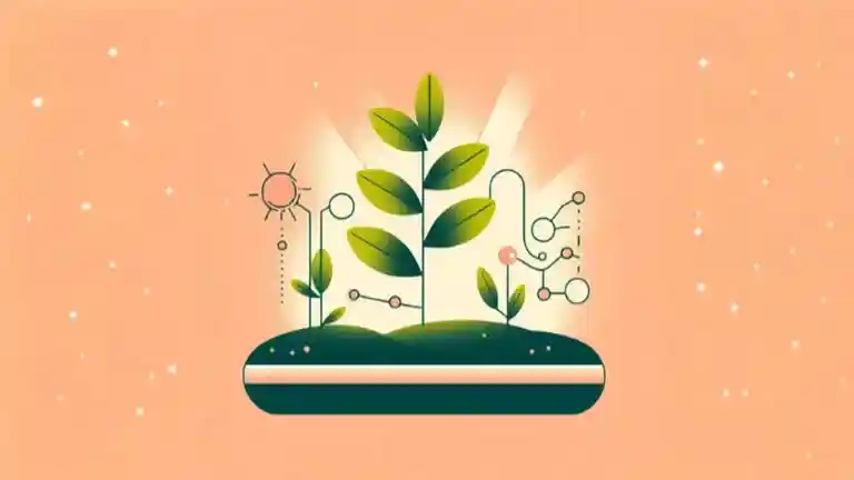 photosynthesis indoor plant
